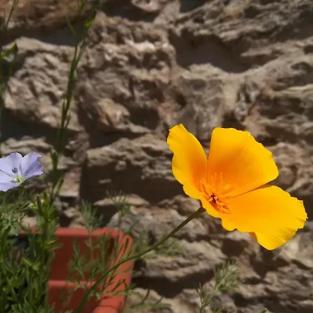 Bed & Breakfast Cedavecia 3*