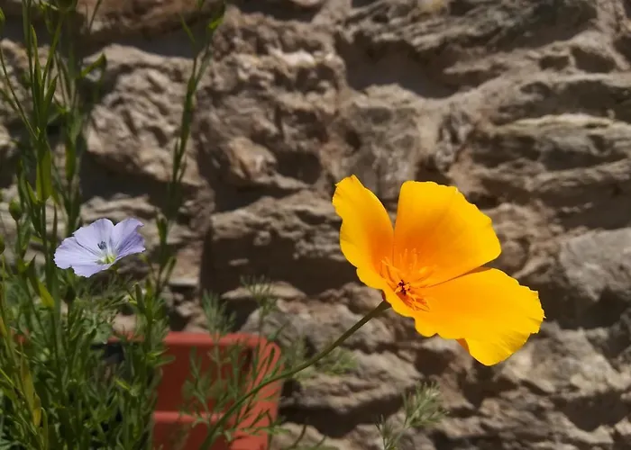 Bed & Breakfast Cedavecia 3*